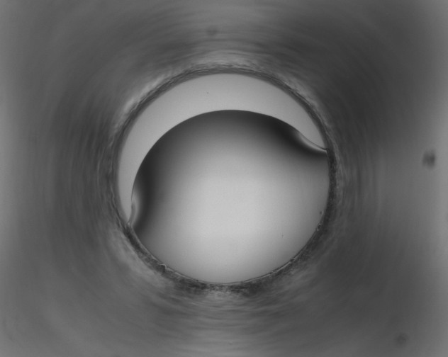 X0000116620399200912312143