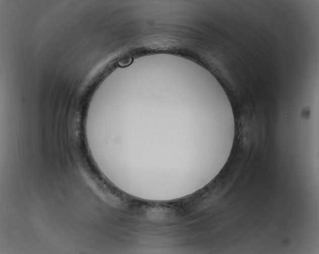 X0000116620400200912312143