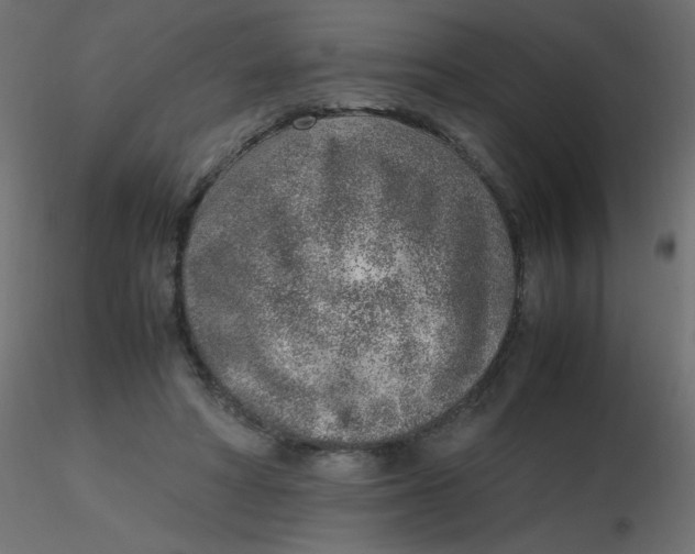 X0000116620402200912312143