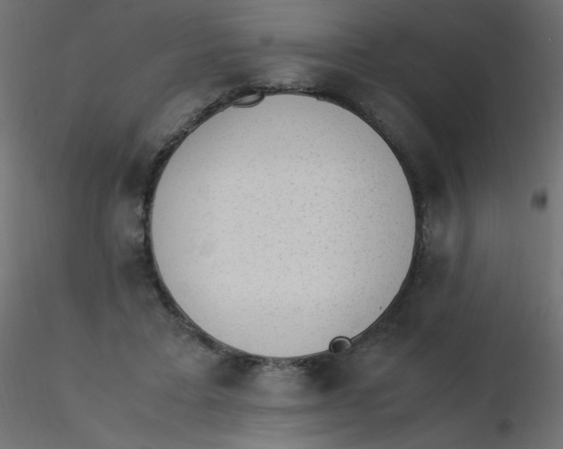 X0000116620403200912312143