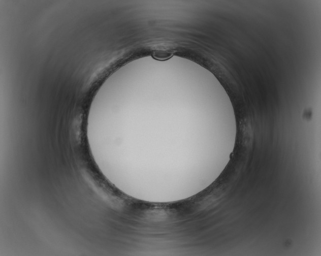 X0000116620404200912312143