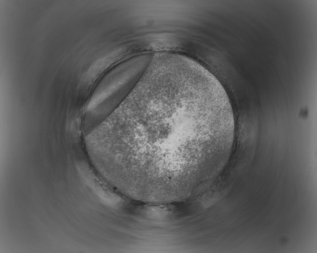 X0000116620405200912312143