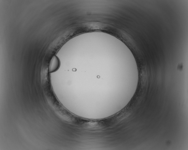 X0000116620406200912312143