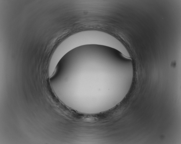 X0000116620407200912312143