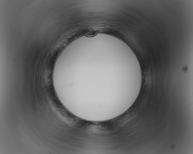 X0000116620408200912312143