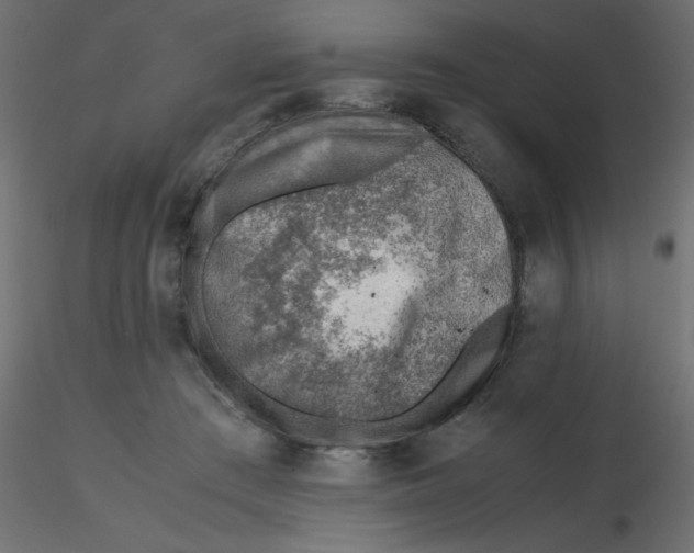 X0000116620409200912312143