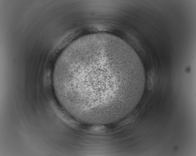 X0000116620410200912312143