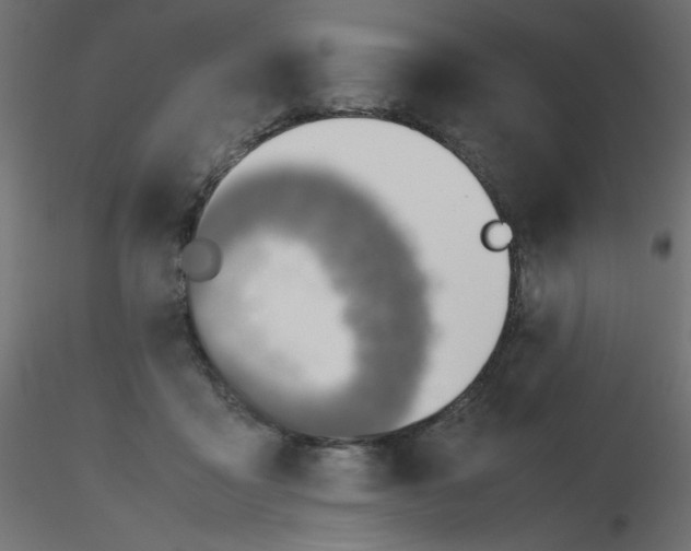 X0000116620411200912312143