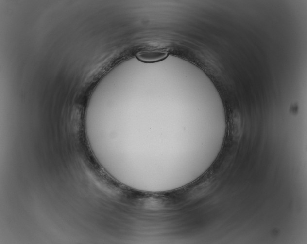 X0000116620412200912312143