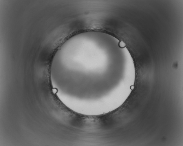 X0000116620415200912312143