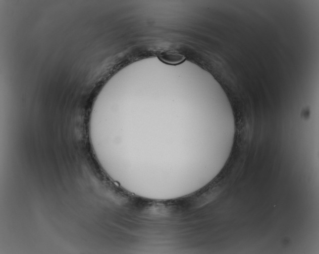 X0000116620416200912312143