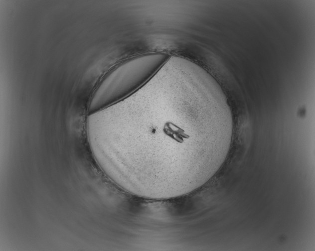 X0000116620417200912312143