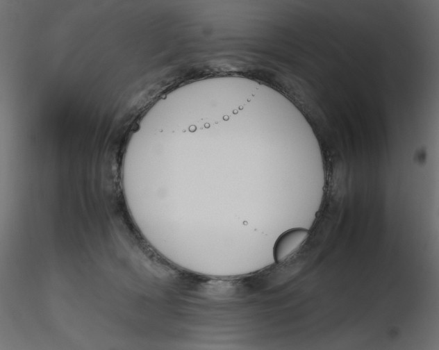 X0000116620418200912312143