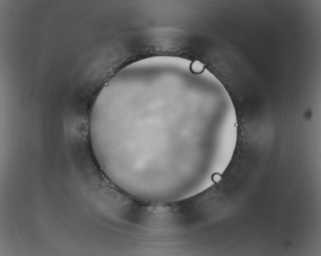 X0000116620419200912312143