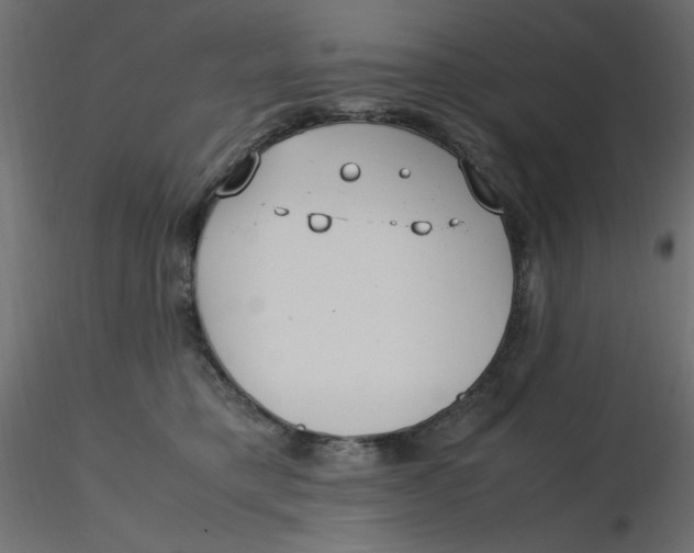 X0000116620421200912312143