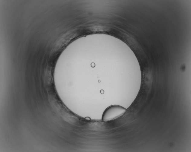 X0000116620422200912312143