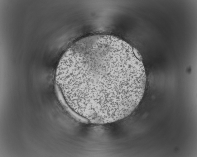 X0000116620423200912312143