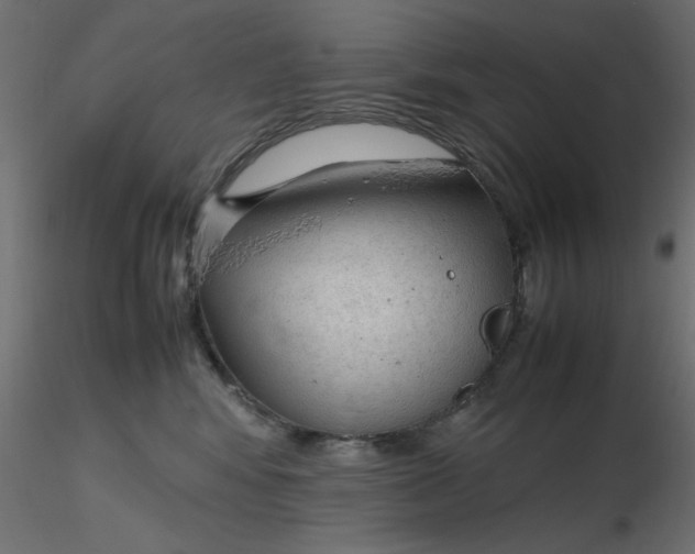 X0000116620424200912312143