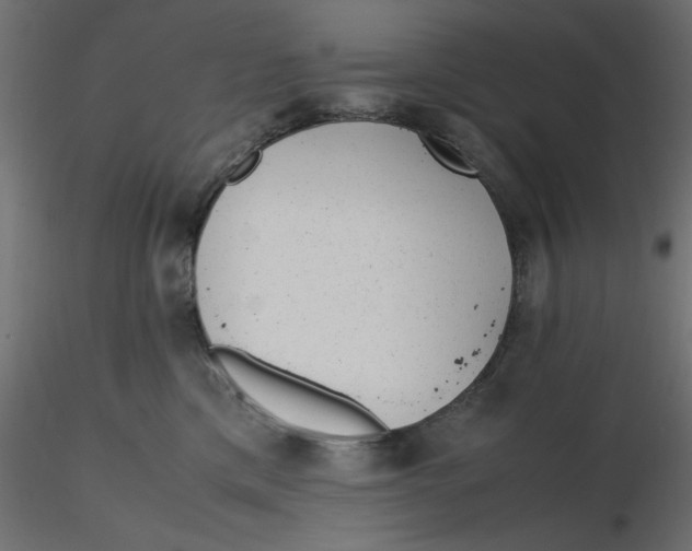 X0000116620425200912312143