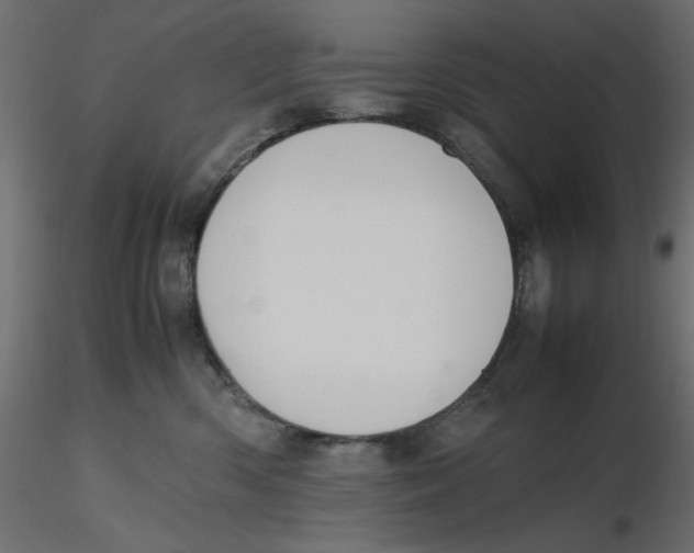 X0000116620426200912312143