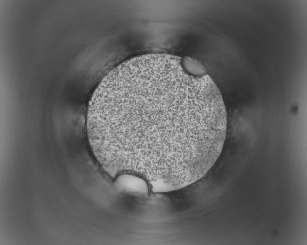 X0000116620427200912312143