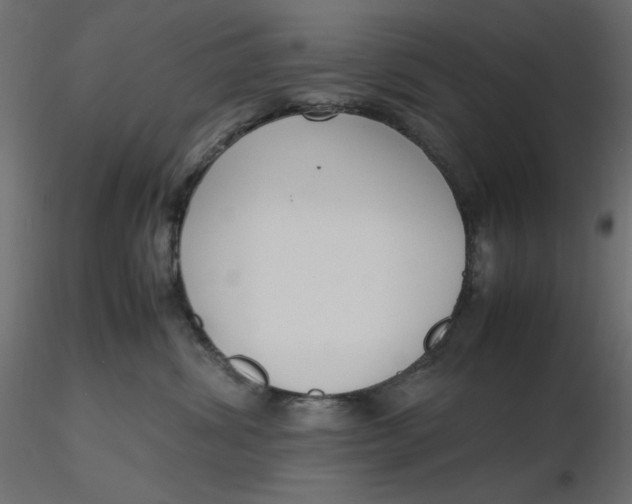 X0000116620428200912312143