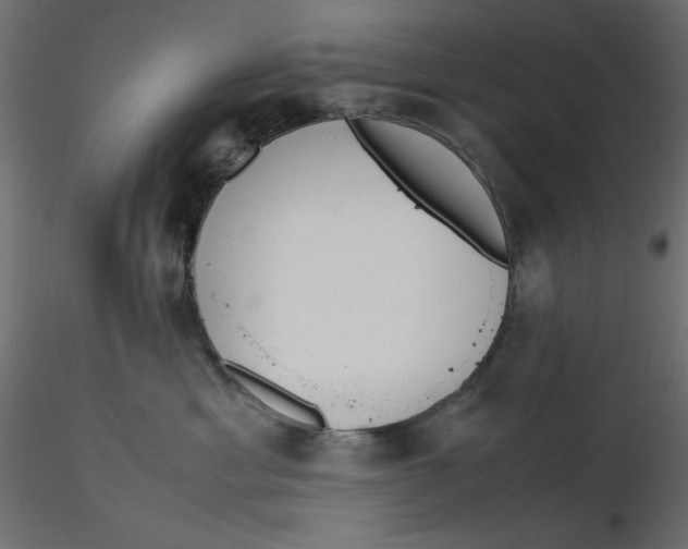 X0000116620429200912312143