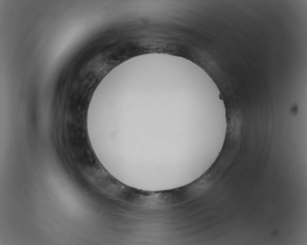 X0000116620430200912312143