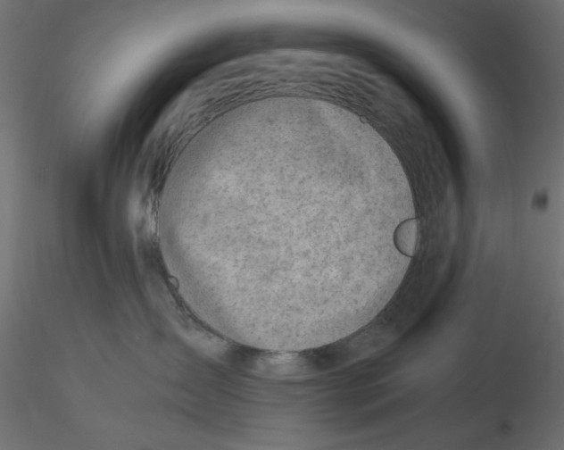 X0000116620431200912312143