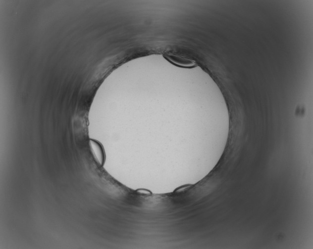 X0000116620432200912312143