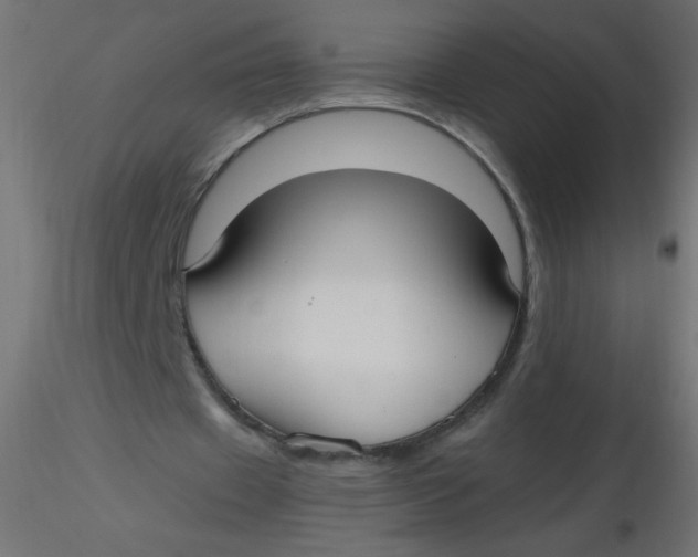 X0000116620433200912312142