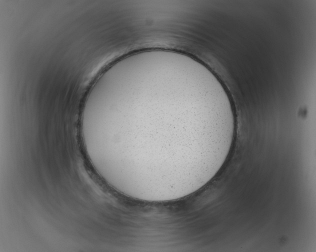 X0000116620434200912312142