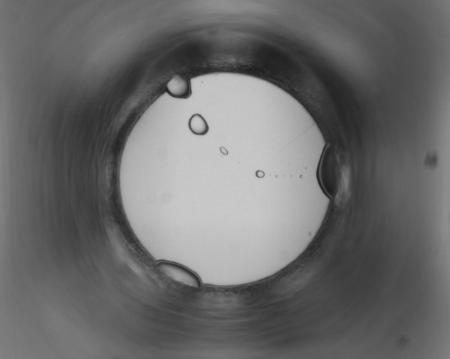 X0000116620435200912312142