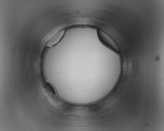 X0000116620436200912312142