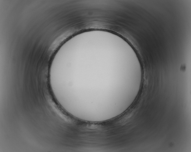 X0000116620437200912312142