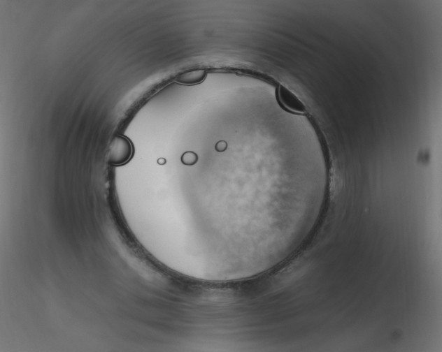 X0000116620438200912312142