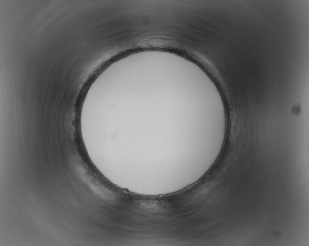 X0000116620439200912312142