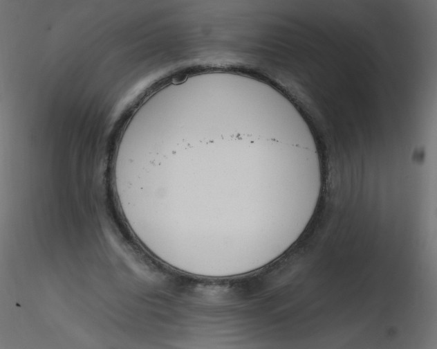 X0000116620440200912312142