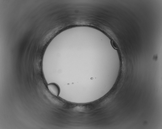 X0000116620441200912312142