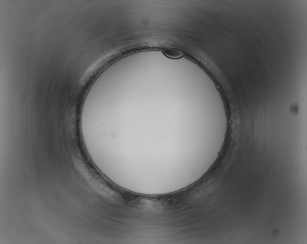 X0000116620442200912312142