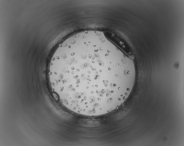 X0000116620443200912312142