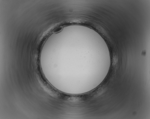 X0000116620444200912312142