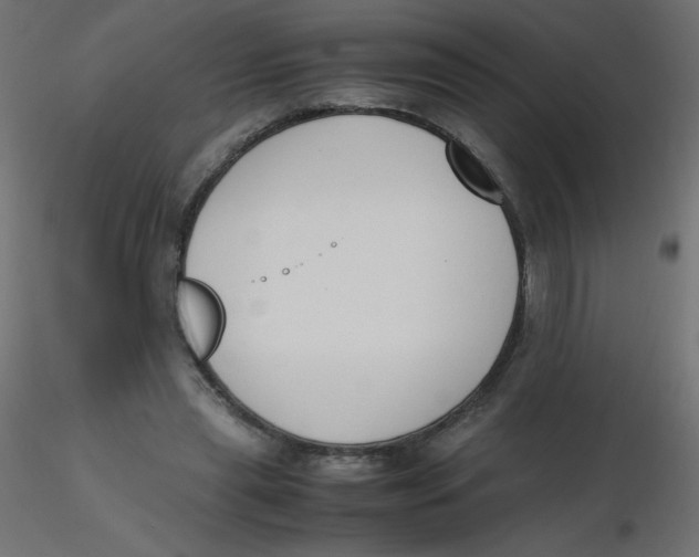 X0000116620445200912312142