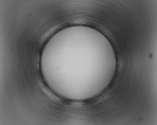 X0000116620446200912312142