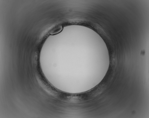 X0000116620448200912312142