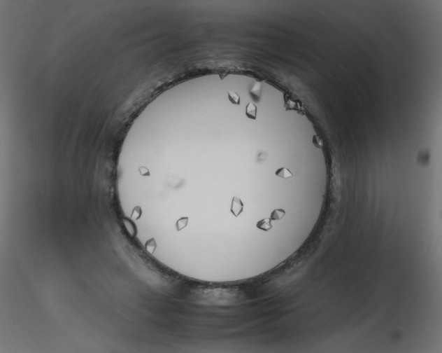 X0000116620449200912312142