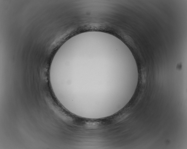 X0000116620450200912312142