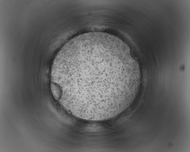 X0000116620451200912312142