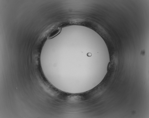 X0000116620452200912312142