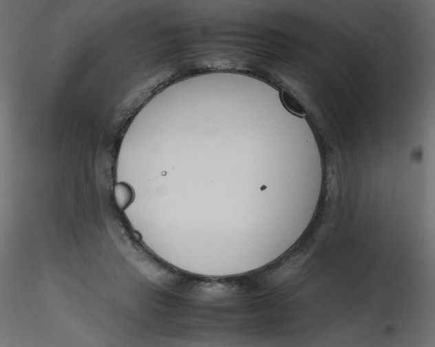 X0000116620453200912312142